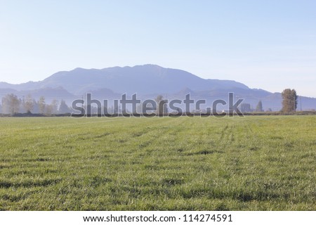 Distant mountains overlook Fraser Valley farm land in British Columbia\'s southwest/Southwest British Columbia/Distant mountains overlook Fraser Valley farm land in British Columbia\'s southwest