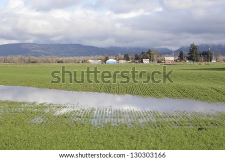 Torrential rains have left a field saturated and under water/Saturated Agricultural Land/Torrential rains have left a field saturated and under water