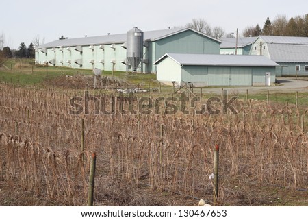 An assortment of buildings on a farm/Variety of Farm Buildings/An assortment of buildings on a farm