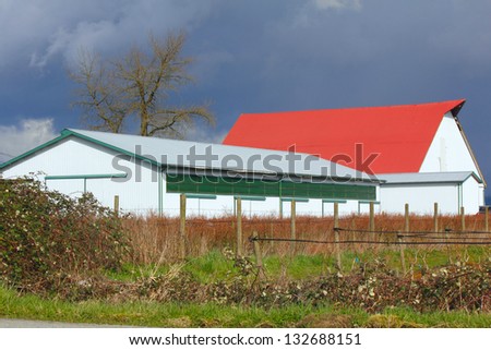 A farm building is pinned against a stormy sky and red, winter blueberry bushes/Winter Rural Colours/A modern farm building is pinned against a dark, stormy sky and red, winter blueberry bushes.