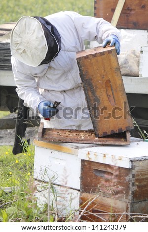A Beekeeper collects honey from a man made beehive box/Collecting Honey/A Beekeeper collects honey from a man made beehive box