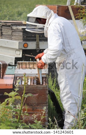 A Beekeeper removes a plate from a man made beehive box/Removing Plate/A Beekeeper removes a plate from a man made beehive box