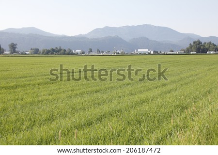 A gas distribution plant and acres of spring hay field/Industry and Agriculture/A gas distribution plant and acres of spring hay field