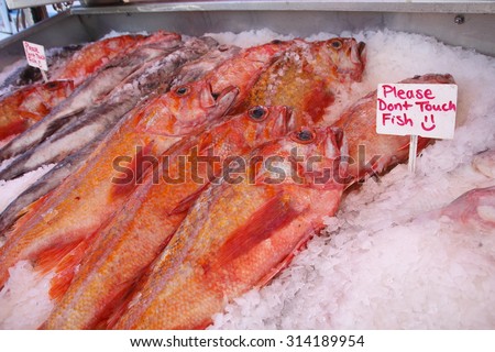 Frozen fish is offered in an outdoor market along with a friendly reminder/Fresh Fish For Sale/Frozen fish is offered in an outdoor market.