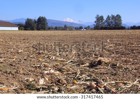 A harvested corn field in site of Mount Baker in Washington State/After the Washington Harvest/A harvested corn field in site of Mount Baker in Washington State