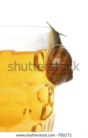 Snail Beer