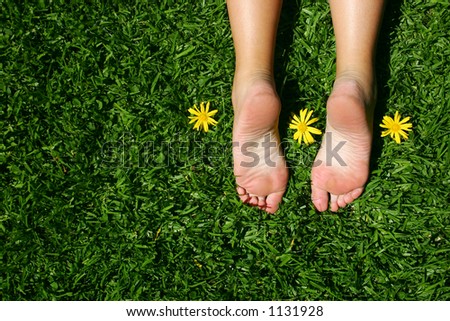 Female feet on grass with sunny yellow daisies