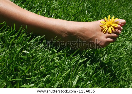 Foot with daisy on grass