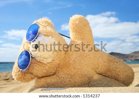 Teddy bear on a beach holiday