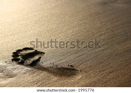 Big footprint on golden sand at sunset