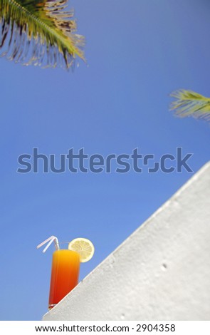 Tropical Drink from below with palm fronds