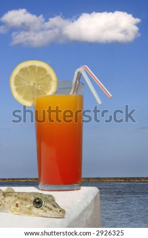 Tropical drink and sunny beach background with focus on gecko in the foreground