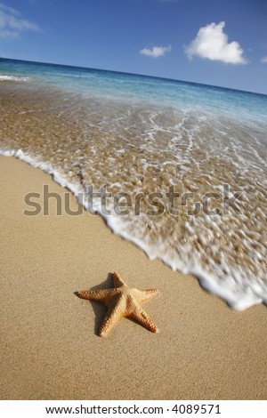 Starfish on tropical beach with waving coming towards it