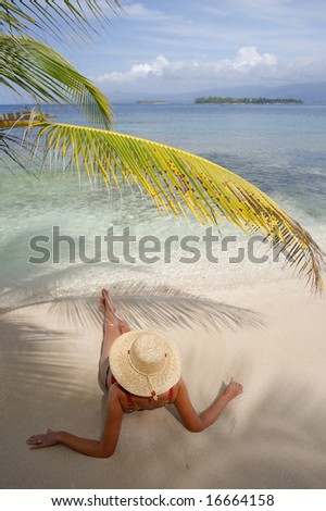 Woman sunbathing under an overhanging coconut palm on a tropical beach