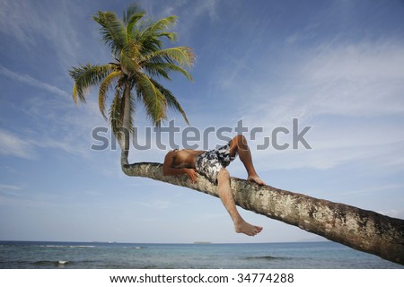 Man sunbathing on an overhanging coconut palm on a tropical beach