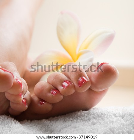 Square composition of a womans toes with a frangipani flower