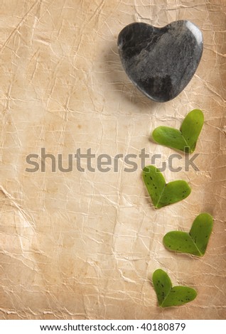 Heart shaped leaf name