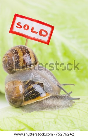 Snails in a pile with a property sold sign.