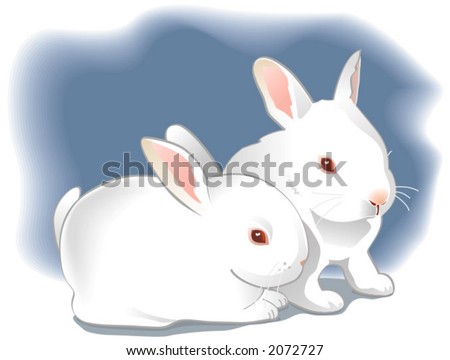 cute easter bunnies pictures. cute easter bunnies pictures.