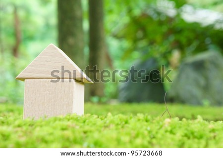 toy house on moss