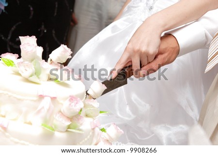 hands of bride and groom cut of a slice of a wedding cake
