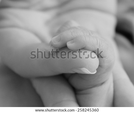 Newborn baby\'s tiny fingers holding mothers hand