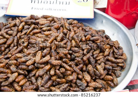 Fried silk worm is the food of the natives of northern Thailand.