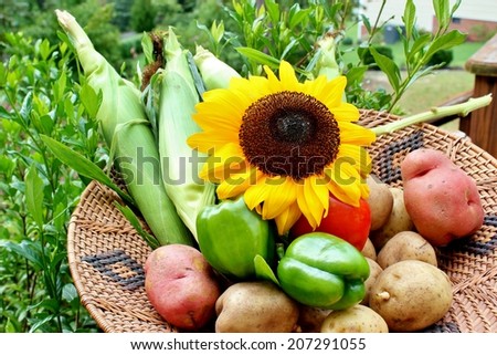 A basket filled with freshly picked vegetables and a sunflower