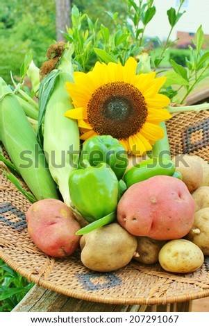 A basket filled with freshly picked vegetables and a sunflower
