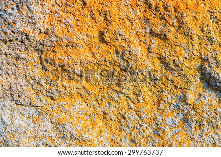 Old stone wall texture background, Background of stone wall texture