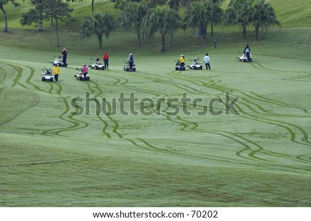 Golf caddies leaving tread patterns on golf course