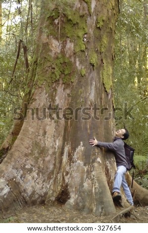 clip art tree trunk. hugging a huge tree trunk