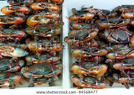 Sea crabs at seafood market, Thailand