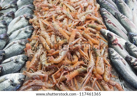 Adriatic sea specialties at a fish market