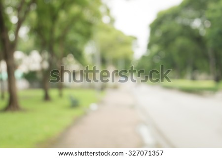 walkway for exercise lined up with beautiful tall trees