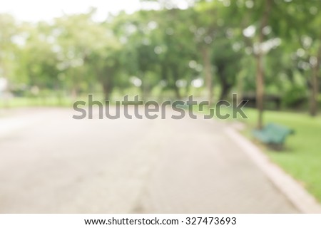 walkway for exercise lined up with beautiful tall trees