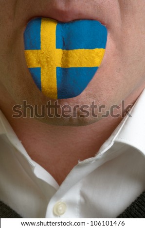 man with open mouth spreading tongue colored in sweden flag as symbol of values like teaching, learning, multilingual speaking of different languages