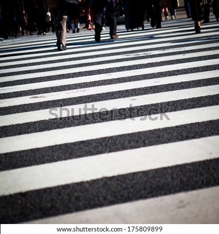 group of people crossing on zebra cross
