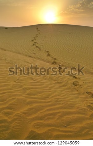 Footsteps coming from the top of a dune at sunset in the desert near Jaisalmer, Rajasthan, India