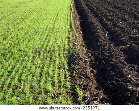 Newly ploughed cornfield in Italy, half and half