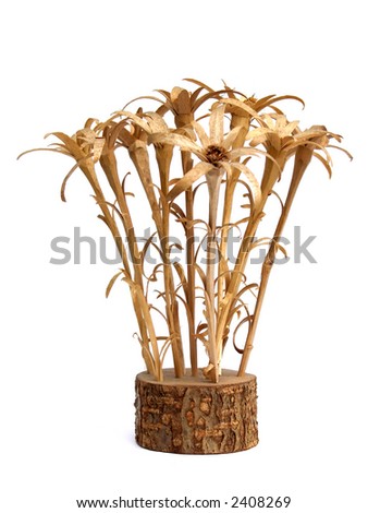 Edelweiss flowers, carved in wood, isolated on white background