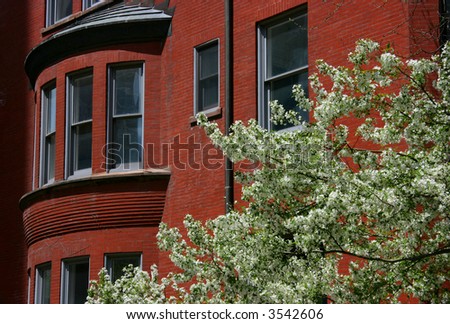 Blossoming tree in front of a red brick house