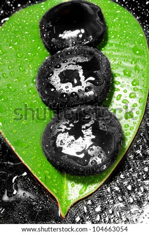 Zen stones and green leaf with water drops