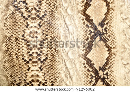 Snake skin , reptile