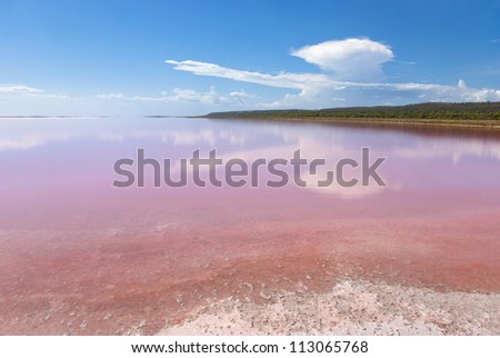 Pink Lake, Western Australia. This lake turns pink in summer cause of an algae with red pigments. Those plants are used for dyeing clothes red