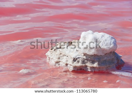 Pink Lake, Western Australia. This lake turns pink in summer cause of an algae with red pigments. Those plants are used for dyeing clothes red