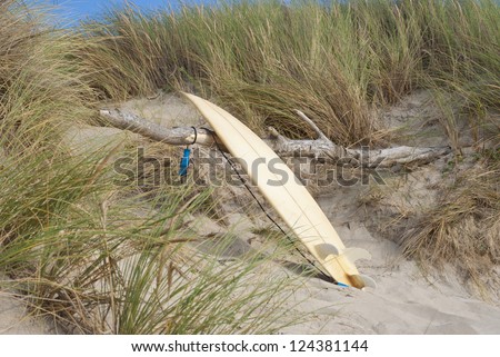 Surfboard on beach leaning against dry wood on dune