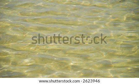 Crystal Clear Ocean Water