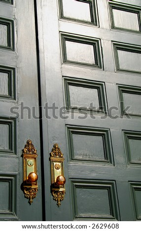 Tall Paneled Doors