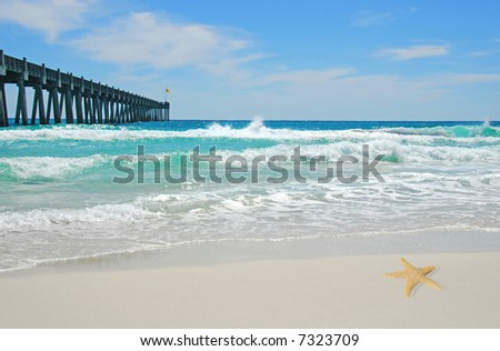 Pretty Ocean Pictures